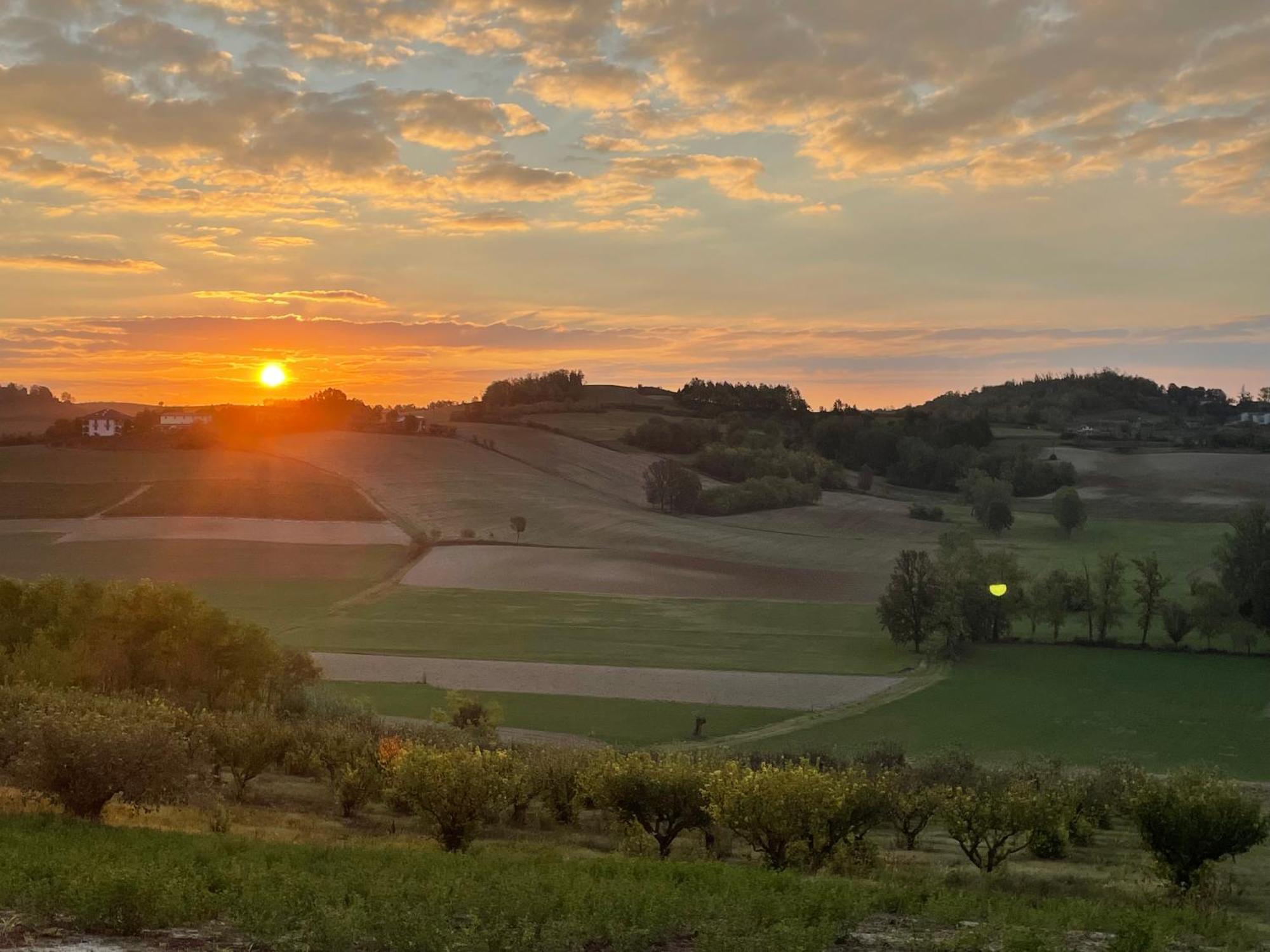 Azienda Agricola Tenuta Del Barone Calliano  Екстер'єр фото